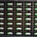 XENO 3.6V 2/3 AA XLP-055F 0225 LITHIUM BATTERY