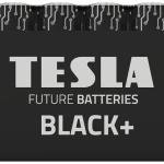 Tesla Black+ AA Alkaline Batteries 10 Pcs Maximum Performance LR6